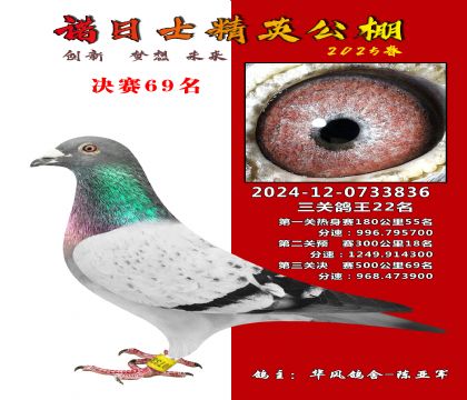 諾日士賽鴿2025春賽決賽69名