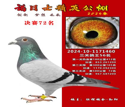 諾日士賽鴿2025春賽決賽72名
