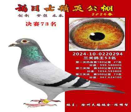 諾日士賽鴿2025春賽決賽73名