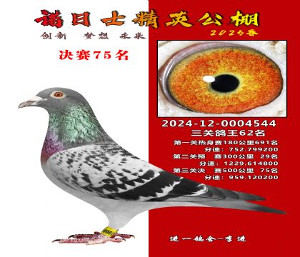 諾日士賽鴿2025春賽決賽75名