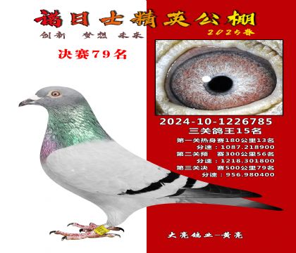 諾日士賽鴿2025春賽決賽79名
