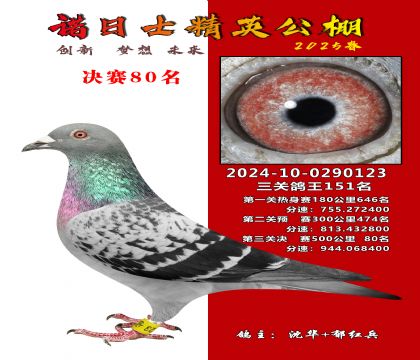 諾日士賽鴿2025春賽決賽80名