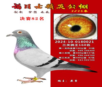 諾日士賽鴿2025春賽決賽82名
