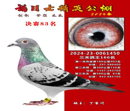 諾日士賽鴿2025春賽決賽83名