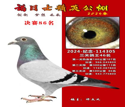諾日士賽鴿2025春賽決賽86名
