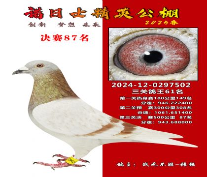 諾日士賽鴿2025春賽決賽87名