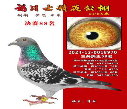 諾日士賽鴿2025春賽決賽88名