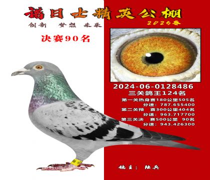 諾日士賽鴿2025春賽決賽90名