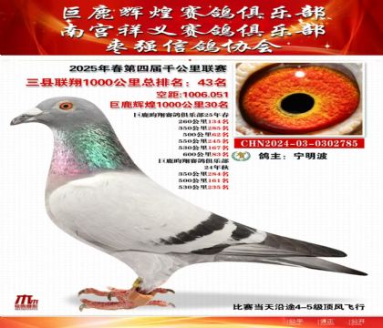 三縣聯(lián)翔千公里43名