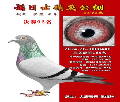 諾日士賽鴿2025春賽決賽92名