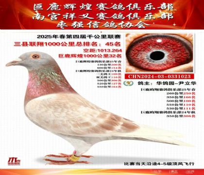 三縣聯(lián)翔千公里45名