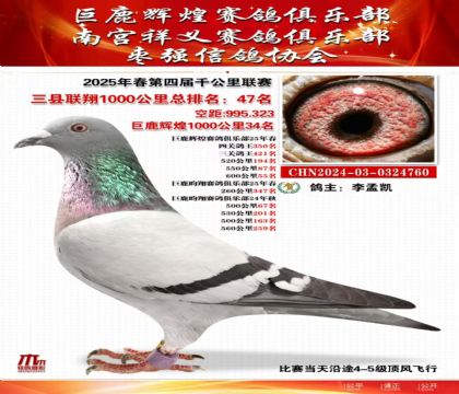 三縣聯(lián)翔千公里47名
