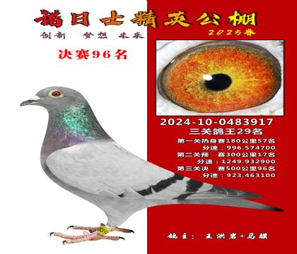 諾日士賽鴿2025春賽決賽96名