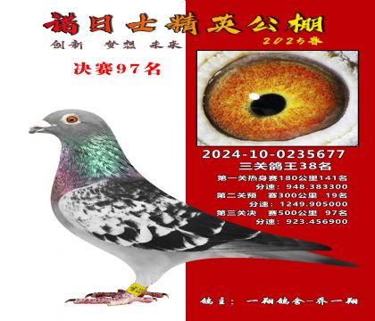 諾日士賽鴿2025春賽決賽97名