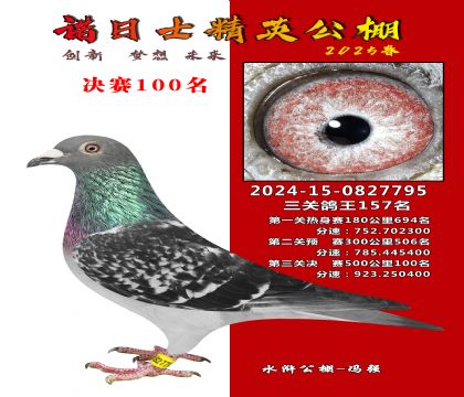 諾日士賽鴿2025春賽決賽100名