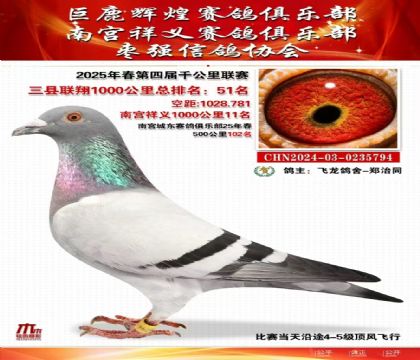 三縣聯(lián)翔千公里51名