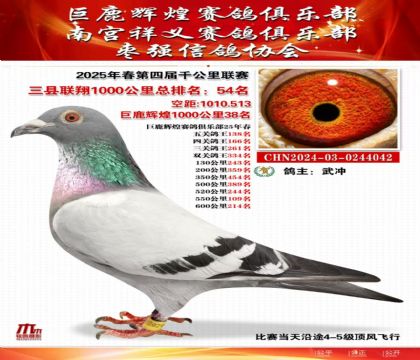 三縣聯(lián)翔千公里54名