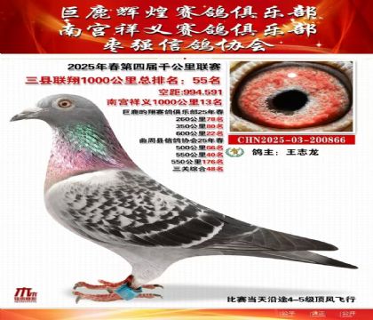 三縣聯(lián)翔千公里55名