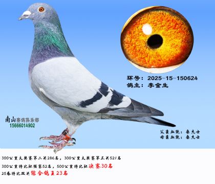 رpP23