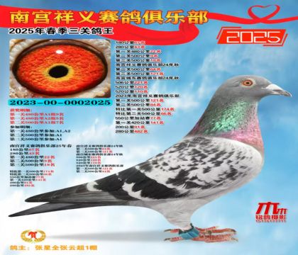 祥義三關(guān)鴿王4名