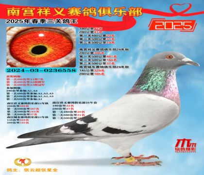 祥義三關(guān)鴿王5名
