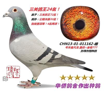 ͬC011162