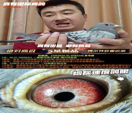 ^(du)߼(j)ضؽH