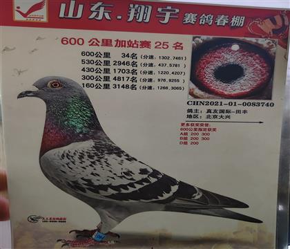 600վِ25