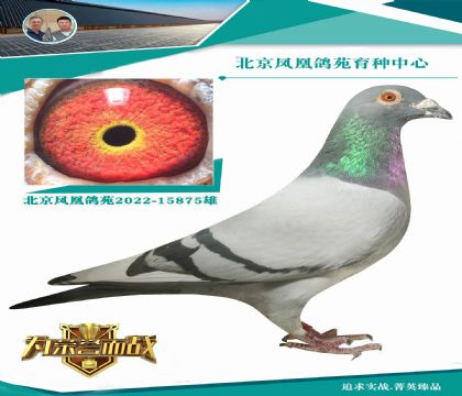 元泰公棚決賽(冠軍)爸爸桑杰士X開(kāi)爾公棚決賽24名