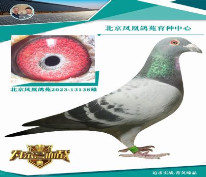 “墨菲定律” 直孫X“墨菲定律”全妹