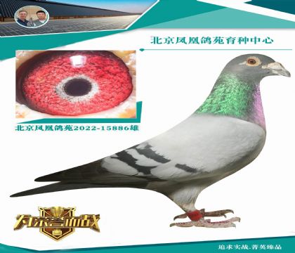 巴塞羅那全國(guó)冠軍家族X(qián)新奧林匹克全妹