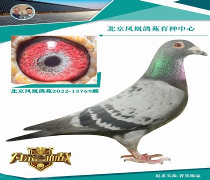 巴塞羅那全國(guó)冠軍家族X(qián)新奧林匹克全妹