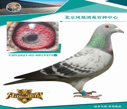 新福雷迪直子X(jué)女兒