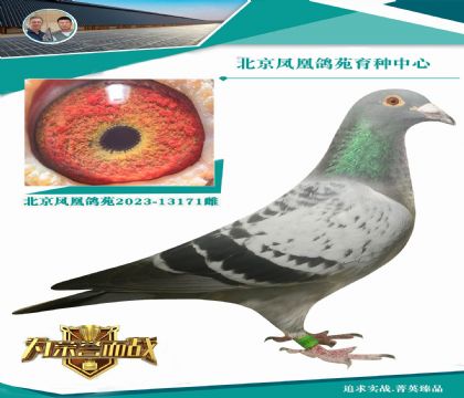“墨菲定律” 直孫X“墨菲定律”全妹
