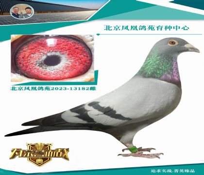 開(kāi)爾決賽6名直子X(jué)天立公棚決賽9名