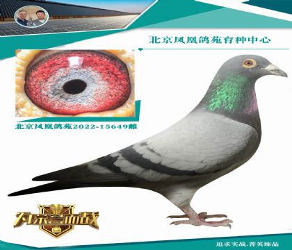 元泰公棚決賽(冠軍)爸爸桑杰士X開(kāi)爾公棚決賽24名