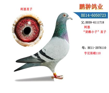 Hչʾ