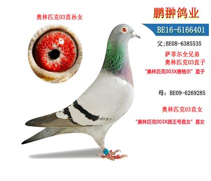 ĸչʾ
