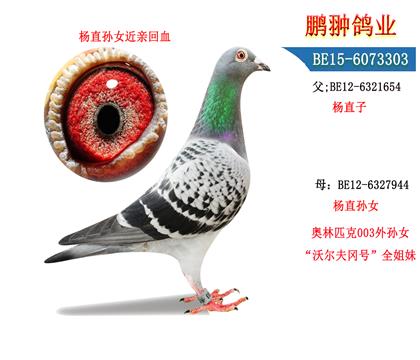 ĸչʾ