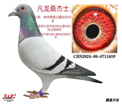 ɣʿ