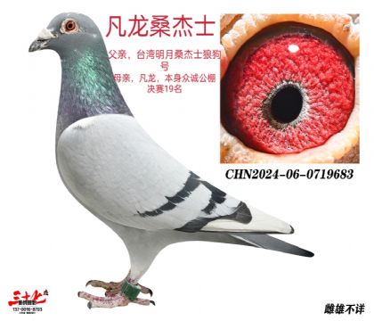 ɣʿ