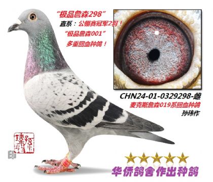 7̖--˹ղɭ019ѪN0329298-