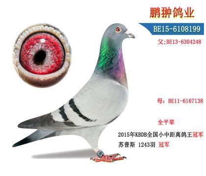 ĸչʾ