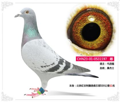 tِ㘷50061   	