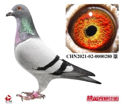 Ҽ피N+֮ĸ