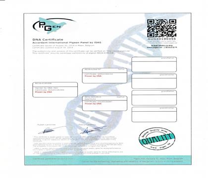 DNA