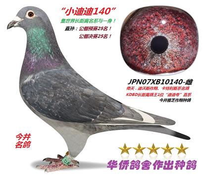 ĸ10140c-ƽ֥