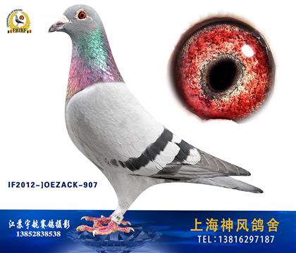 ĸH