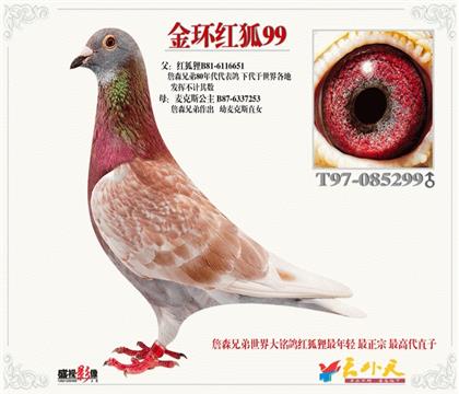 游h(hun)99