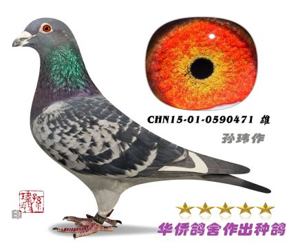 5̖(ho)--Aϵ0590471-